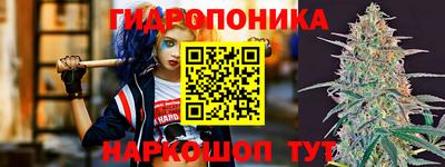 гидропоника Славгород