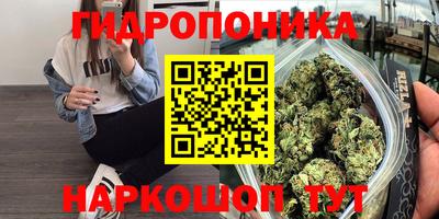 бошки Славянск-на-Кубани